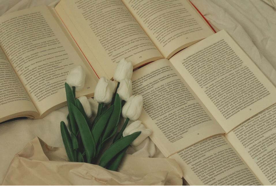 Mehr als nur 5 Sterne: Wie du systematisch echte Buch-Rezensionen sammelst