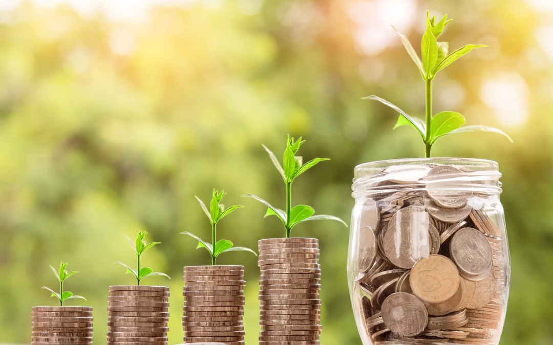 So gelingt Crowdfunding für Selfpublisher
